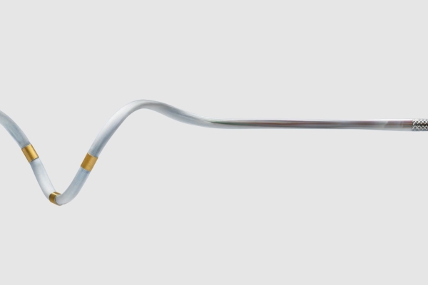 renal denervation