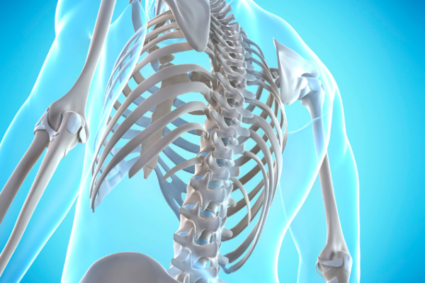 Healthy Spine