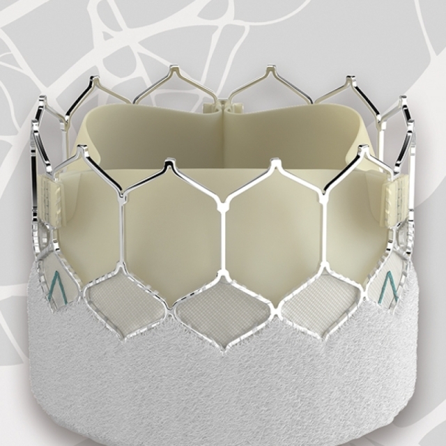 TAVR