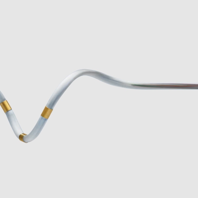renal denervation