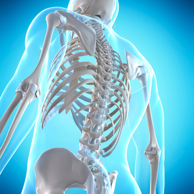 Healthy Spine