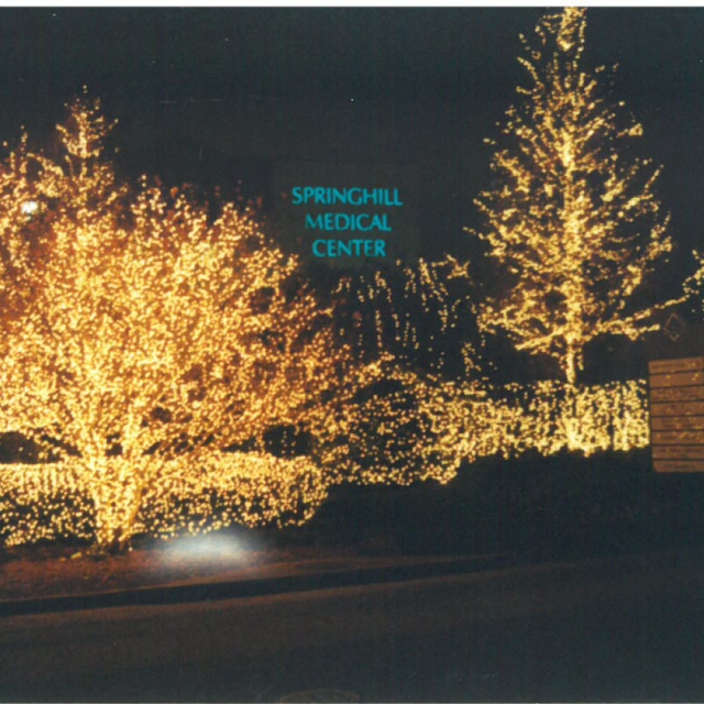 SMC Christmas Lights