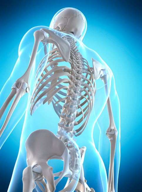 Healthy Spine
